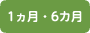 1ヶ月・6ヵ月